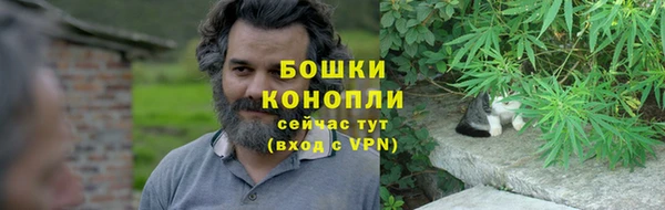 mdpv Богородицк