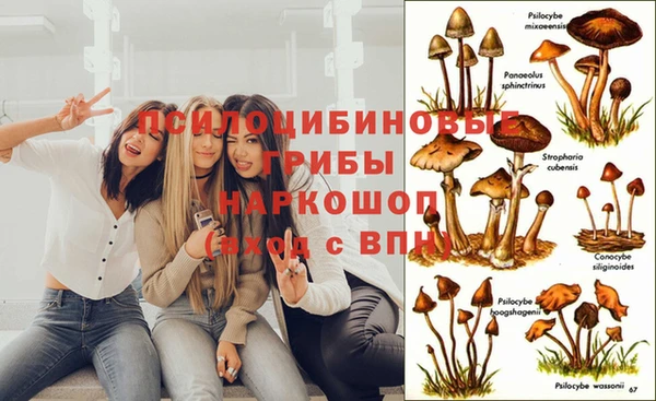 таблы Богородск