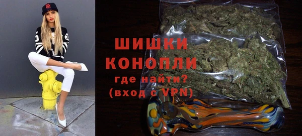 mdpv Богородицк